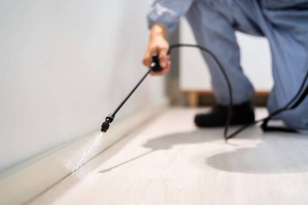 Licensed Cockroach Control service in Terrebonne, OR - Nex Pest Control