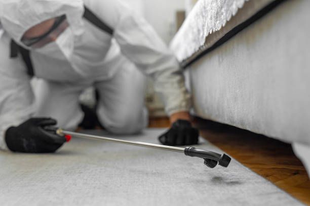 Professional Cockroach Control technician working in Terrebonne, OR