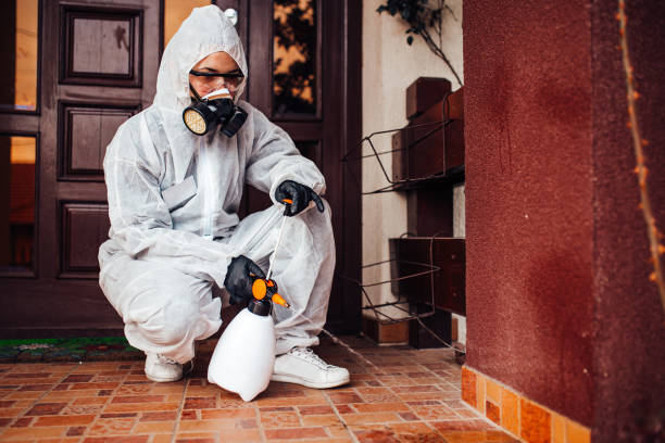 Reliable Cockroach Control contractor in Terrebonne, OR by Nex Pest Control